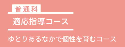 適応指導コース